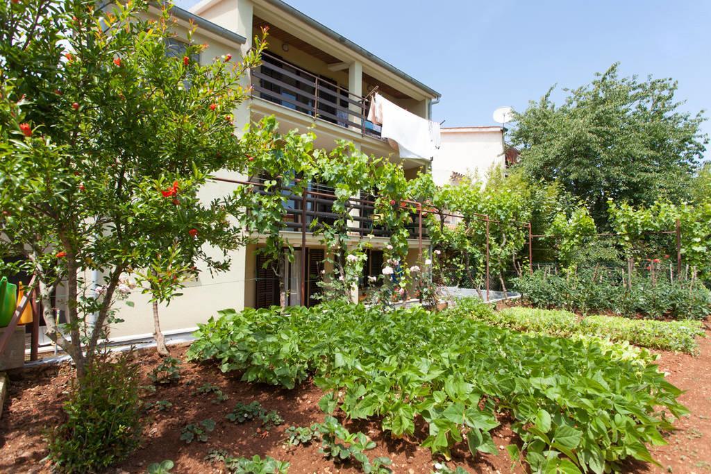 Apartment Oliva PUY Exterior foto